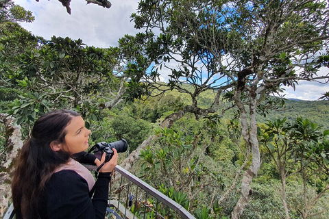 Lamington National Park, O'Reilly's & Vineyard Tour - Accommodation 4U 1