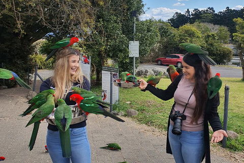 Lamington National Park, O'Reilly's & Vineyard Tour - Accommodation 4U 5