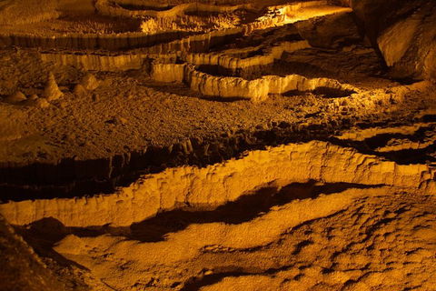 The Explorers' Discovery Tour - Gold, Wine & Wildlife - Accommodation 4U 0