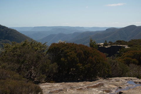 The Explorers' Discovery Tour - Gold, Wine & Wildlife - Accommodation 4U 3