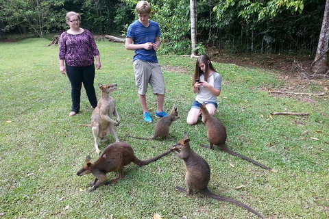 Small Group Blue Mountains Day Tour From Sydney - Accommodation 4U 2