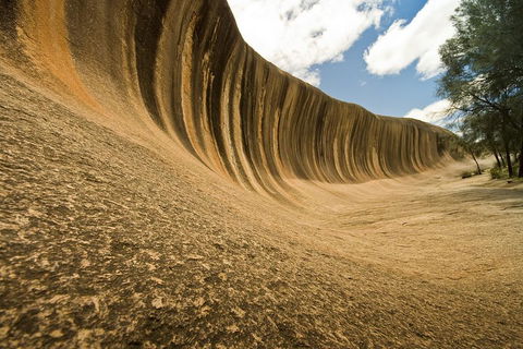 Wave Rock, York, Wildflowers, And Aboriginal Cultural Day Tour From Perth - Accommodation 4U 0