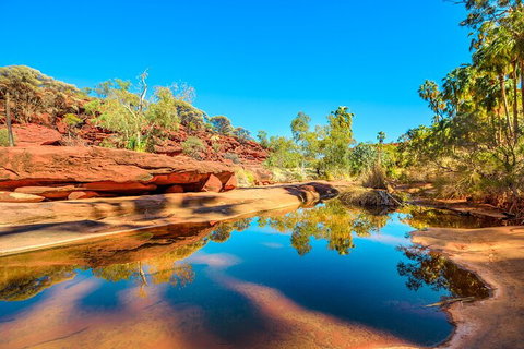 7-Day Guided Tour Of Alice Springs With Accommodation Included - Accommodation 4U 1