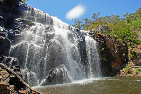 Two Day Melbourne To Adelaide Tour - Great Ocean Road & Grampians - Accommodation 4U 0