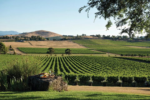 Small Group 6 Guests: Ultimate Yarra Valley Food And Wine - Mercedes Van - Accommodation 4U 4
