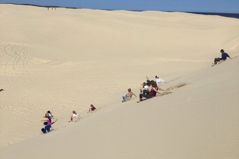 Port Stephens Bush, Beach And Sand Dune 4WD Passenger Tour - Accommodation 4U 4