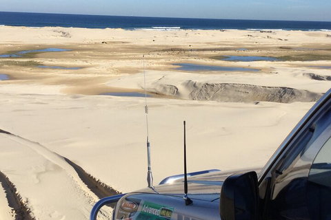 Port Stephens Bush, Beach And Sand Dune 4WD Passenger Tour - Accommodation 4U 5