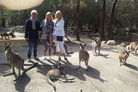 Private Scenic Day Trip From Sydney For Families And Friends - Accommodation 4U 1