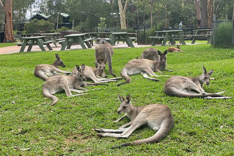 Private Scenic Day Trip From Sydney For Families And Friends - Accommodation 4U 4