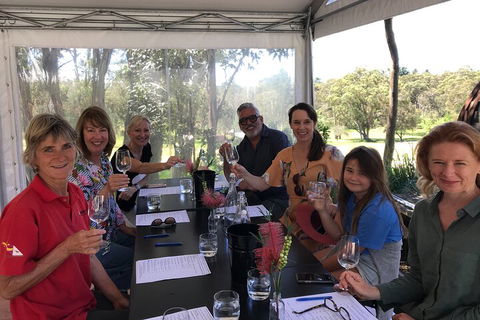 Private Scenic Day Trip From Sydney For Families And Friends - Accommodation 4U 5