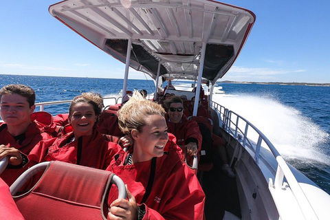 Adventure Rottnest Tour With Ferry & Adventure Cruise From Perth Or Fremantle - Accommodation 4U 0