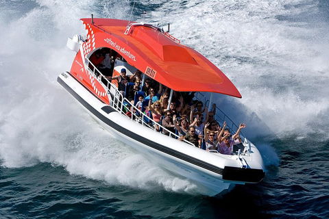 Adventure Rottnest Tour With Ferry & Adventure Cruise From Perth Or Fremantle - Accommodation 4U 2