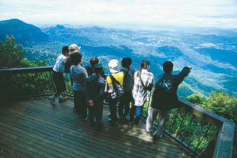 Springbrook National Park & Gold Coast Full Day Luxury Tour From Brisbane - Accommodation 4U 0