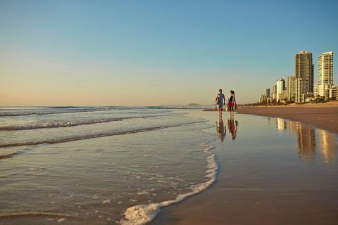 Springbrook National Park & Gold Coast Full Day Luxury Tour From Brisbane - Accommodation 4U 1