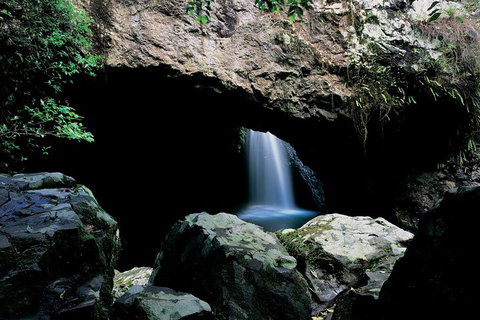 Springbrook National Park & Gold Coast Full Day Luxury Tour From Brisbane - Accommodation 4U 2