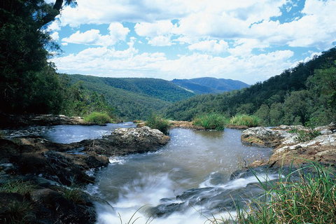 Springbrook National Park & Gold Coast Full Day Luxury Tour From Brisbane - Accommodation 4U 3