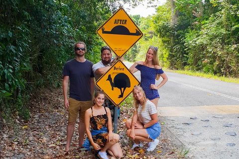 Cape Tribulation, Daintree Rainforest And Wildlife Tour - Accommodation 4U 0