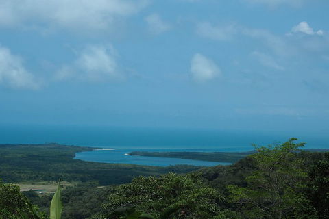 Cape Tribulation, Daintree Rainforest And Wildlife Tour - Accommodation 4U 1