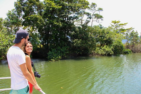 Cape Tribulation, Daintree Rainforest And Wildlife Tour - Accommodation 4U 2