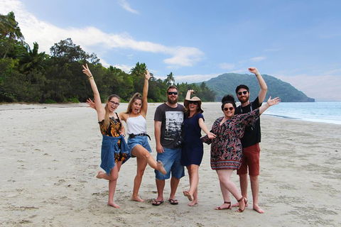 Cape Tribulation, Daintree Rainforest And Wildlife Tour - Accommodation 4U 4