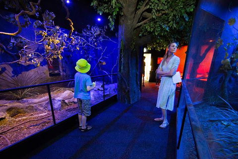 Wildlife Habitat Port Douglas - Accommodation 4U 4