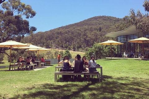 Yarra Valley Wine And Cider Tours By Classic Convertibles From Melbourne - Accommodation 4U 0