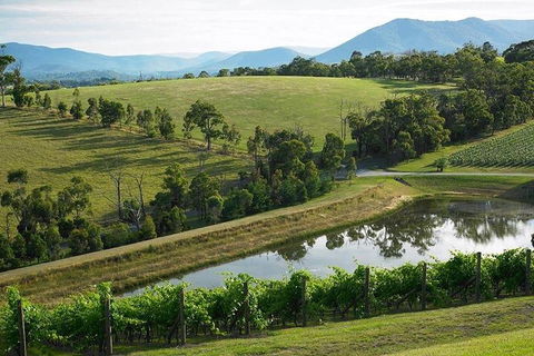 Yarra Valley Wine And Cider Tours By Classic Convertibles From Melbourne - Accommodation 4U 1