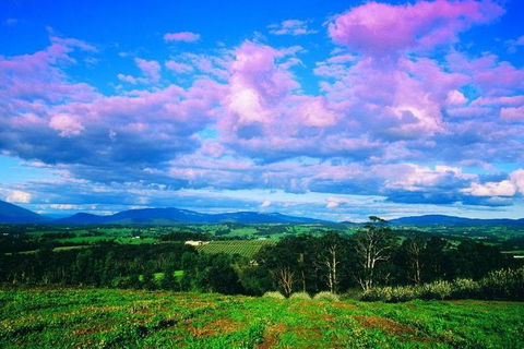 Yarra Valley Wine And Cider Tours By Classic Convertibles From Melbourne - Accommodation 4U 3