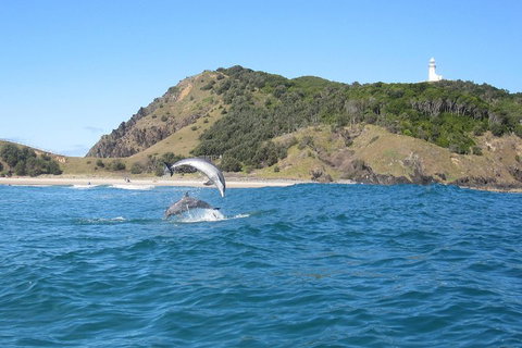 Kayaking With Dolphins In Byron Bay Guided Tour - Accommodation 4U 0