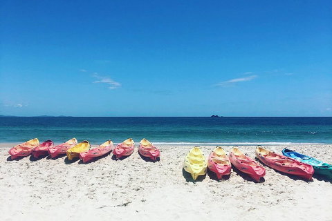 Kayaking With Dolphins In Byron Bay Guided Tour - Accommodation 4U 1