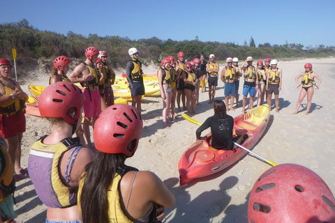 Kayaking With Dolphins In Byron Bay Guided Tour - Accommodation 4U 2