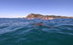 Kayaking With Dolphins In Byron Bay Guided Tour - thumb 5