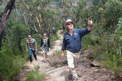 Small-Group Blue Mountains Tour With Bush Walks And Featherdale Wildlife Park - Accommodation 4U 0