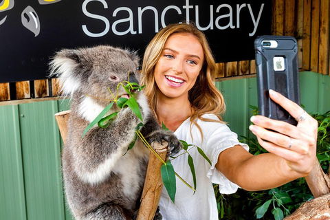 Moonlit Sanctuary Wildlife Conservation Park Daytime General Entry Ticket - Accommodation 4U 4