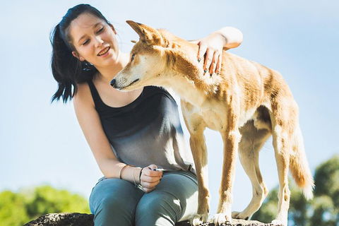 Moonlit Sanctuary Wildlife Conservation Park Daytime General Entry Ticket - Accommodation 4U 5