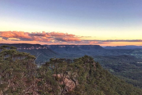 Blue Mountains Sunset Tour | Kangaroos & Koala Encounter (Private Tour) - Accommodation 4U 0