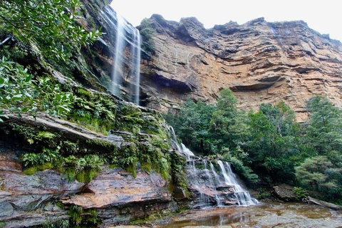 Blue Mountains Sunset Tour | Kangaroos & Koala Encounter (Private Tour) - Accommodation 4U 2