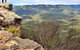 Blue Mountains Sunset Tour | Kangaroos & Koala Encounter (Private Tour) - thumb 4