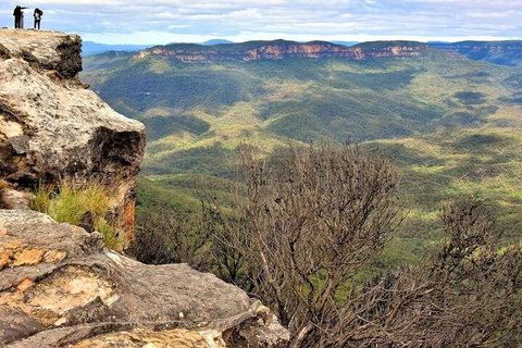 Blue Mountains Sunset Tour | Kangaroos & Koala Encounter (Private Tour) - Accommodation 4U 4