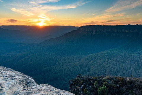 Blue Mountains Sunset Tour | Kangaroos & Koala Encounter (Private Tour) - Accommodation 4U 5