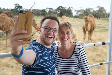 Off-Road Safari At Werribee Open Range Zoo - Accommodation 4U 1