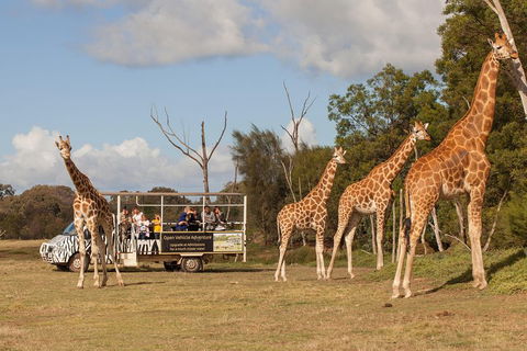 Off-Road Safari At Werribee Open Range Zoo - Accommodation 4U 3