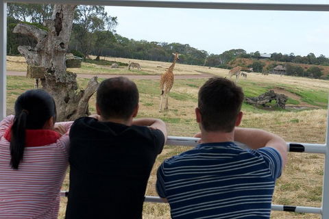 Off-Road Safari At Werribee Open Range Zoo - Accommodation 4U 4