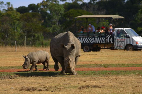 Off-Road Safari At Werribee Open Range Zoo - Accommodation 4U 5