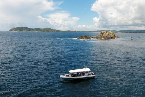 Julian Rocks Byron Bay Cruise - Accommodation 4U 5