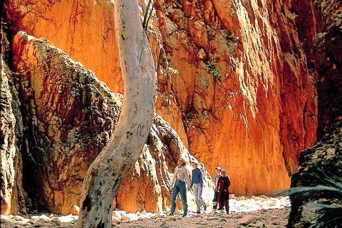 West MacDonnell Ranges Day Trip From Alice Springs - Accommodation 4U 3