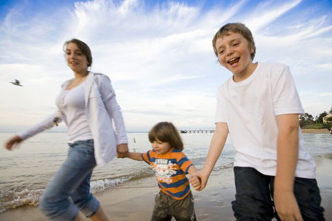 Phillip Island Penguin And Koala Highlights Day-Trip From Melbourne - Accommodation 4U 0