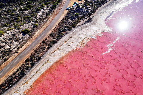 7-Day Exmouth Explorer Via Pinnacles Monkey Mia Ningaloo Reef Returning To Perth - Accommodation 4U 0