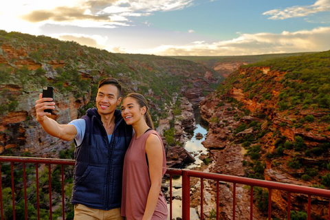 7-Day Exmouth Explorer Via Pinnacles Monkey Mia Ningaloo Reef Returning To Perth - Accommodation 4U 5