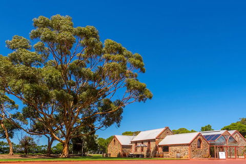 McLaren Vale And Glenelg Wine Tasting And Sightseeing (Half-day Afternoon) - Accommodation 4U 5